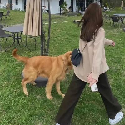 穿越无尽的海洋前往月球